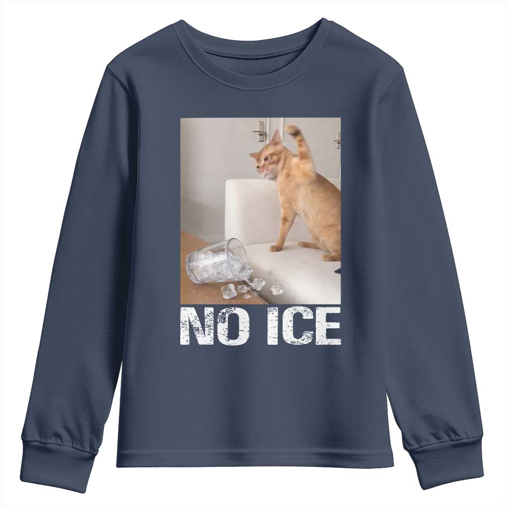 Funny Cat Meme No Ice Youth Sweatshirt Subtle FDT Political Satire Satirical Humor