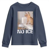 Funny Cat Meme No Ice Youth Sweatshirt Subtle FDT Political Satire Satirical Humor