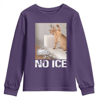 Funny Cat Meme No Ice Youth Sweatshirt Subtle FDT Political Satire Satirical Humor
