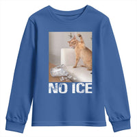 Funny Cat Meme No Ice Youth Sweatshirt Subtle FDT Political Satire Satirical Humor