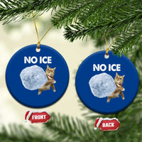 No Ice Ceramic Ornament Funny Cat Meme Subtle FDT Political Satire