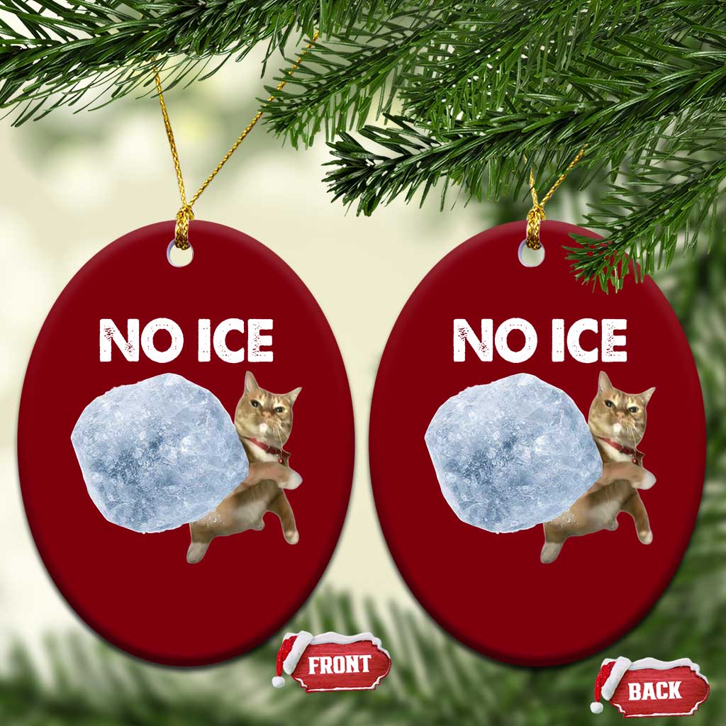 No Ice Ceramic Ornament Funny Cat Meme Subtle FDT Political Satire