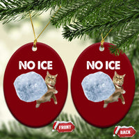 No Ice Ceramic Ornament Funny Cat Meme Subtle FDT Political Satire