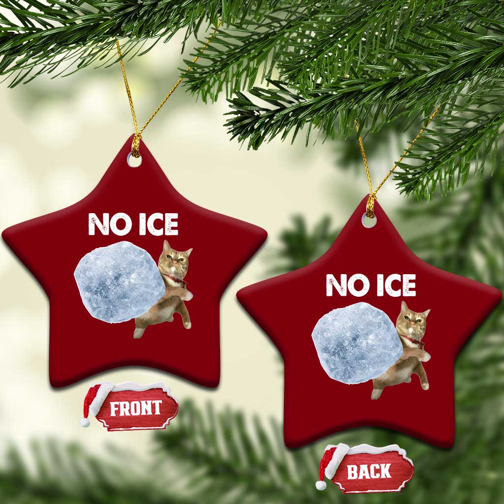 No Ice Ceramic Ornament Funny Cat Meme Subtle FDT Political Satire