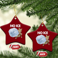 No Ice Ceramic Ornament Funny Cat Meme Subtle FDT Political Satire