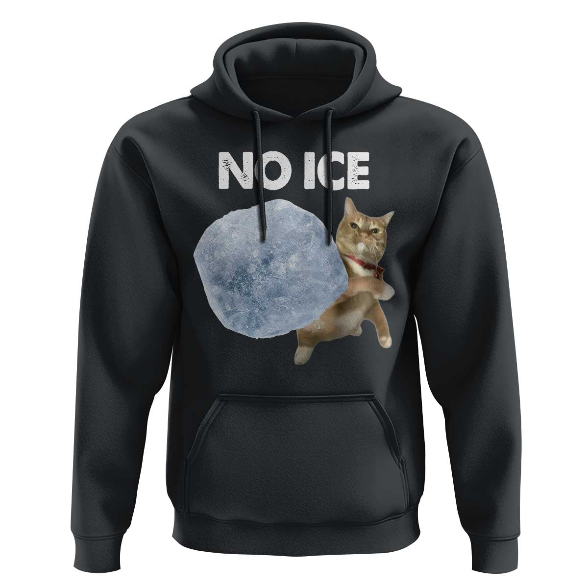 No Ice Hoodie Funny Cat Meme Subtle FDT Political Satire