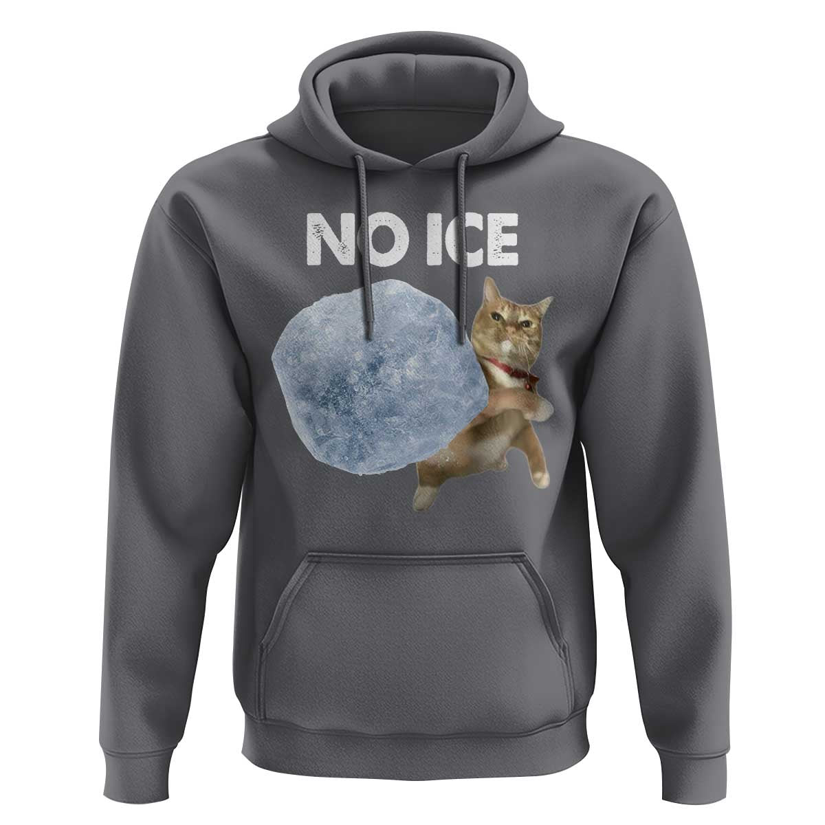 No Ice Hoodie Funny Cat Meme Subtle FDT Political Satire