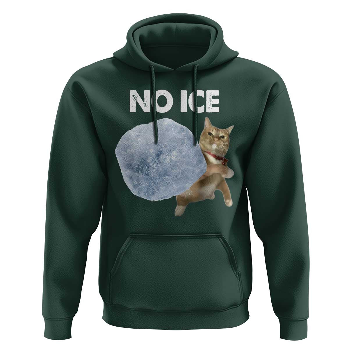 No Ice Hoodie Funny Cat Meme Subtle FDT Political Satire