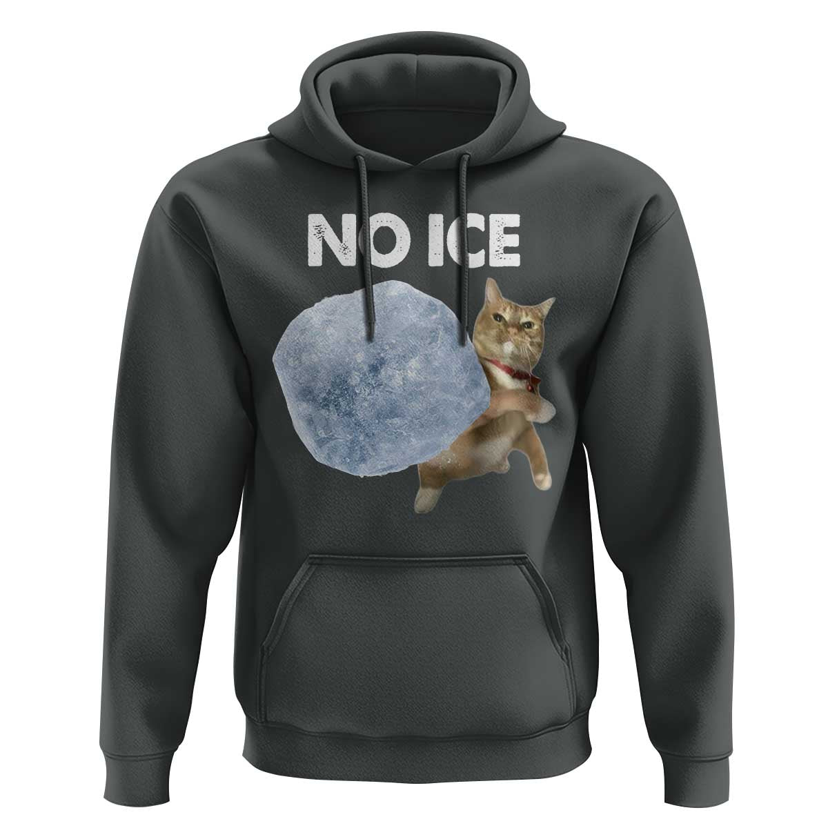 No Ice Hoodie Funny Cat Meme Subtle FDT Political Satire