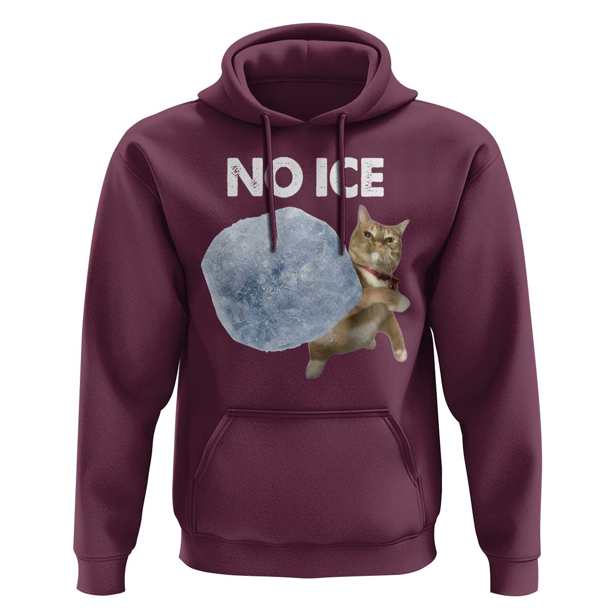 No Ice Hoodie Funny Cat Meme Subtle FDT Political Satire