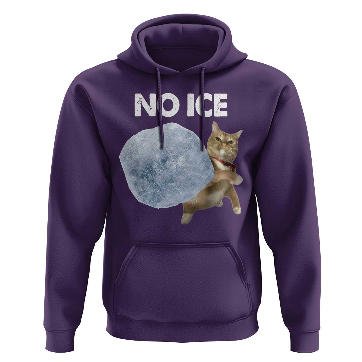 No Ice Hoodie Funny Cat Meme Subtle FDT Political Satire