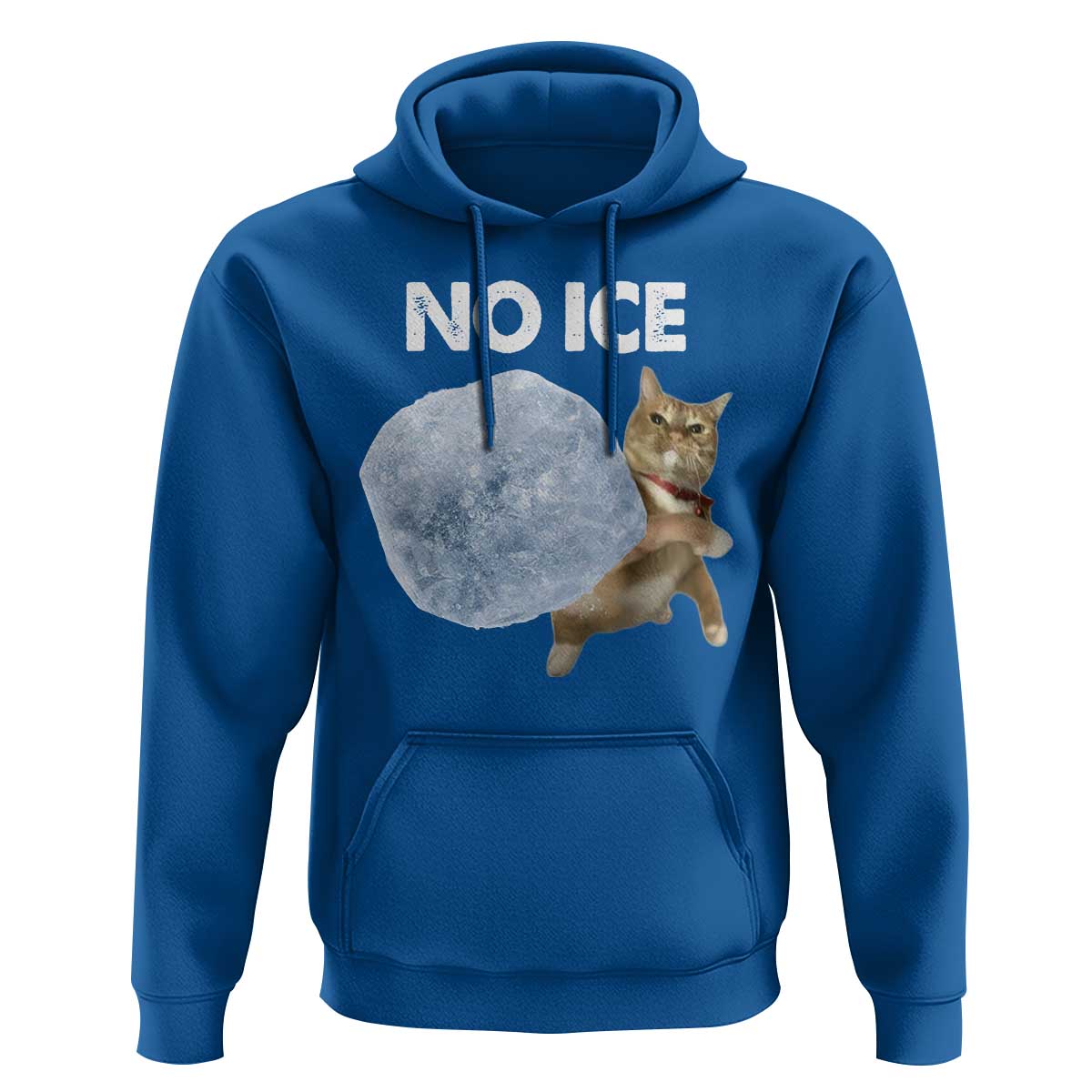 No Ice Hoodie Funny Cat Meme Subtle FDT Political Satire