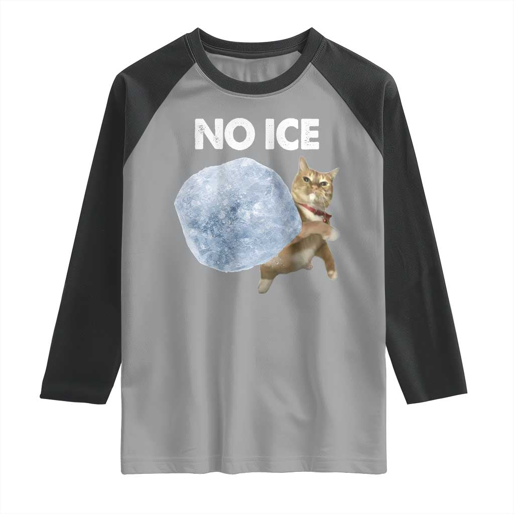 No Ice Raglan Shirt Funny Cat Meme Subtle FDT Political Satire