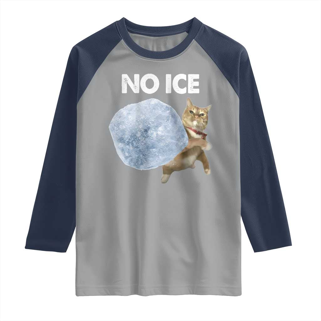 No Ice Raglan Shirt Funny Cat Meme Subtle FDT Political Satire