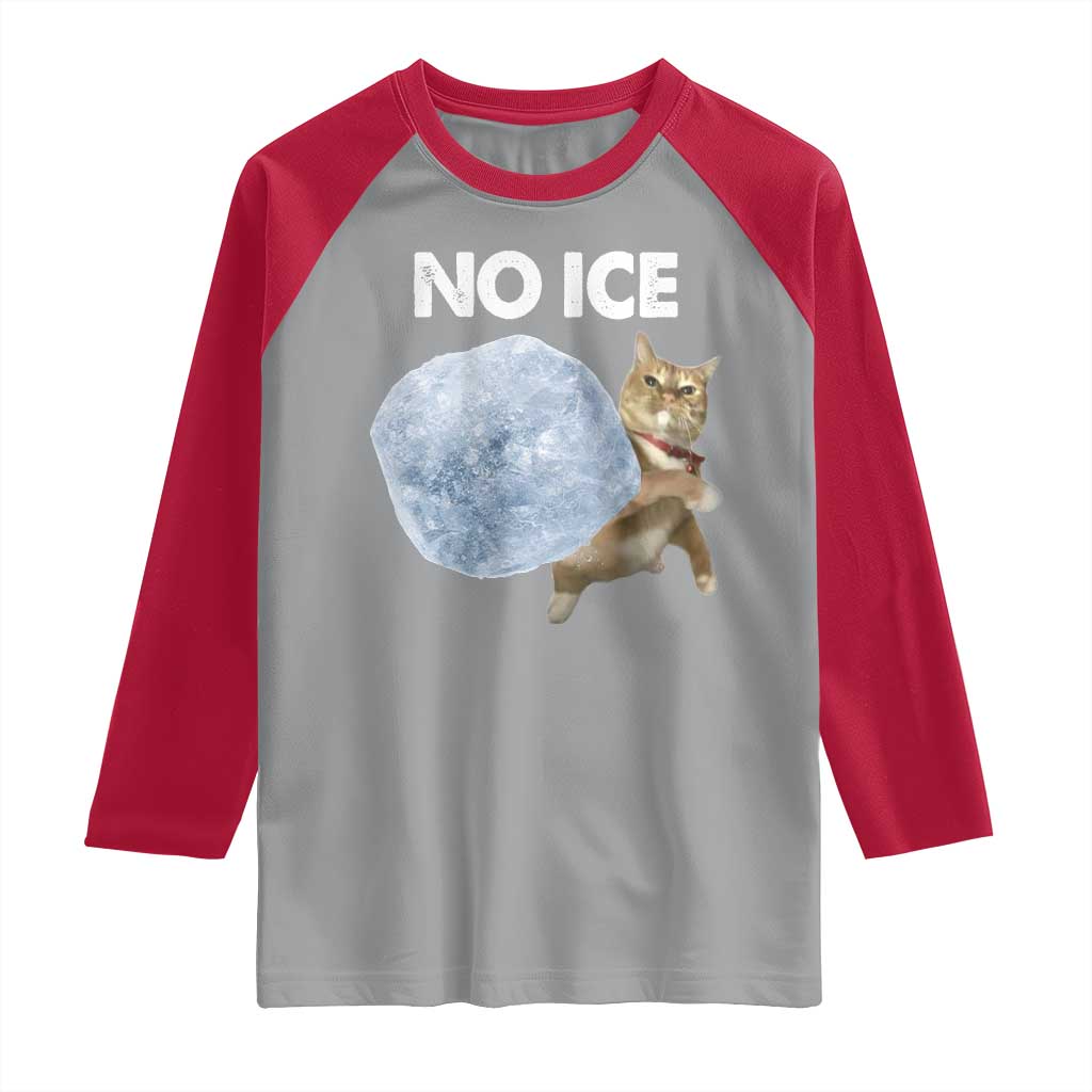 No Ice Raglan Shirt Funny Cat Meme Subtle FDT Political Satire