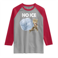 No Ice Raglan Shirt Funny Cat Meme Subtle FDT Political Satire