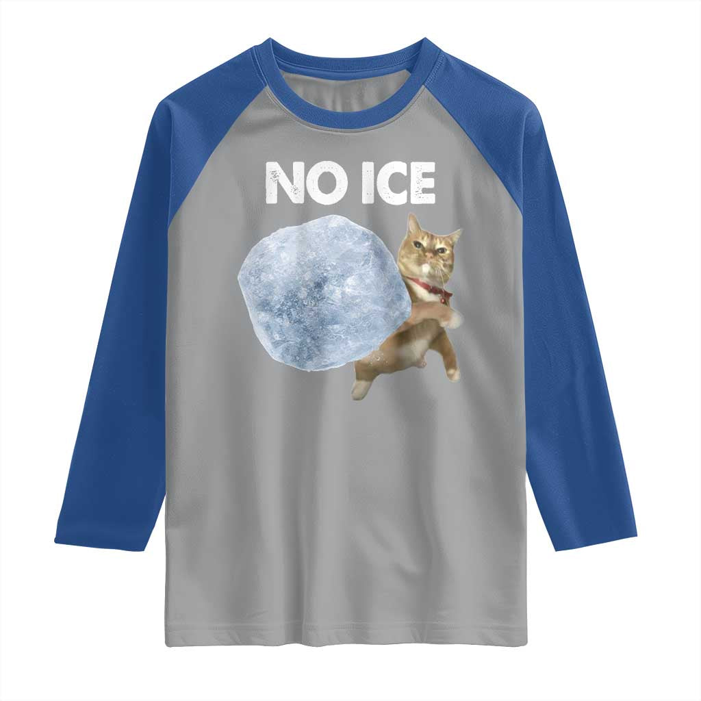 No Ice Raglan Shirt Funny Cat Meme Subtle FDT Political Satire