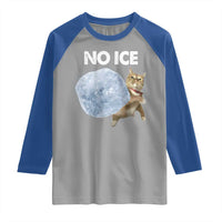 No Ice Raglan Shirt Funny Cat Meme Subtle FDT Political Satire