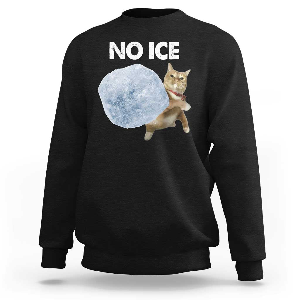 No Ice Sweatshirt Funny Cat Meme Subtle FDT Political Satire