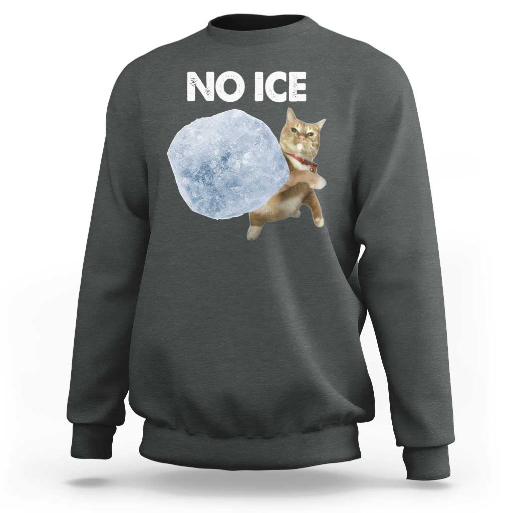 No Ice Sweatshirt Funny Cat Meme Subtle FDT Political Satire