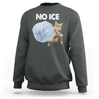 No Ice Sweatshirt Funny Cat Meme Subtle FDT Political Satire