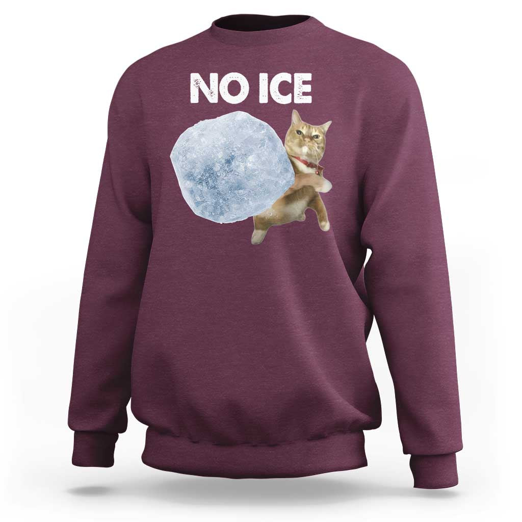 No Ice Sweatshirt Funny Cat Meme Subtle FDT Political Satire