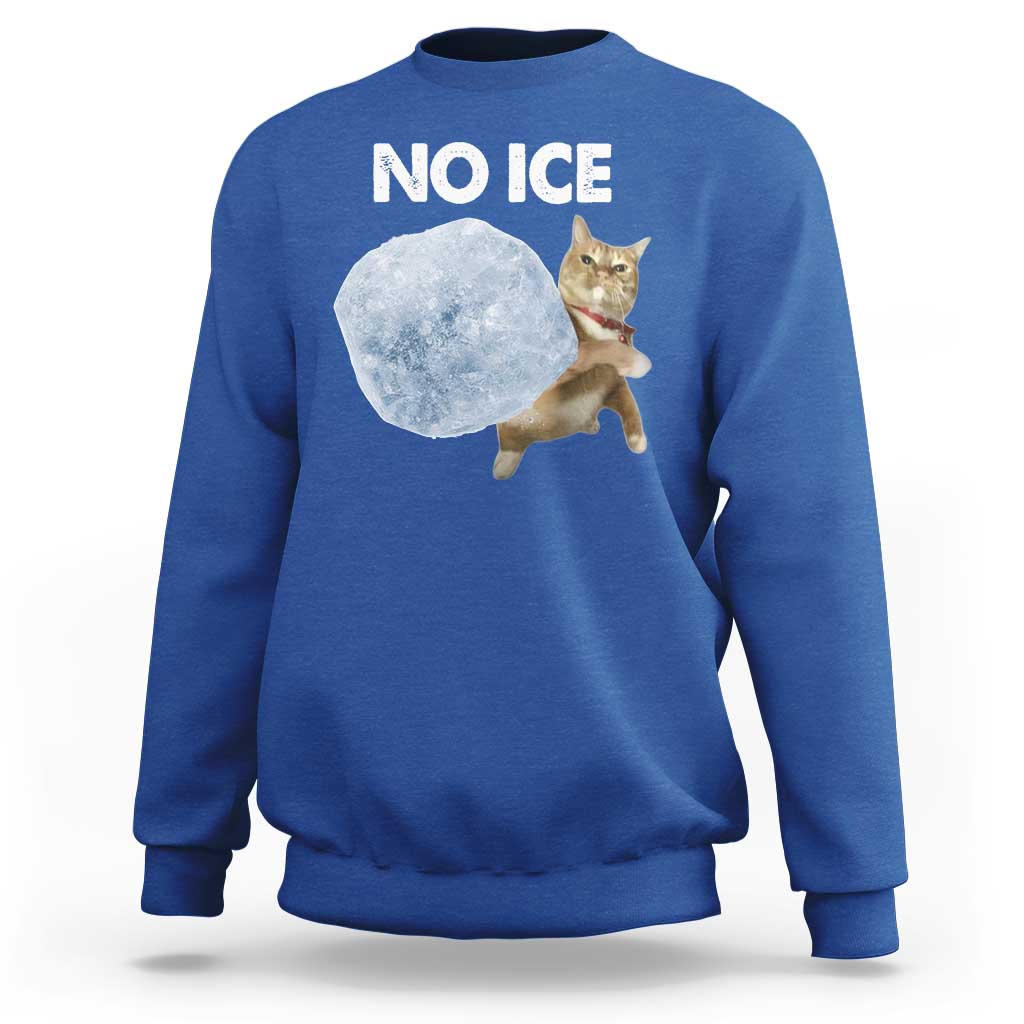 No Ice Sweatshirt Funny Cat Meme Subtle FDT Political Satire