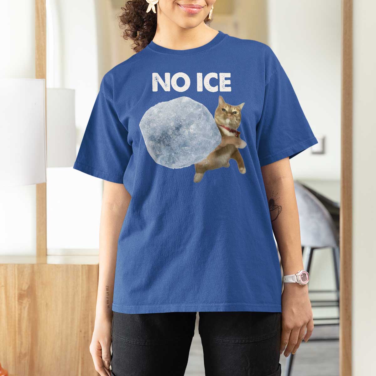 No Ice T Shirt For Women Funny Cat Meme Subtle FDT Political Satire