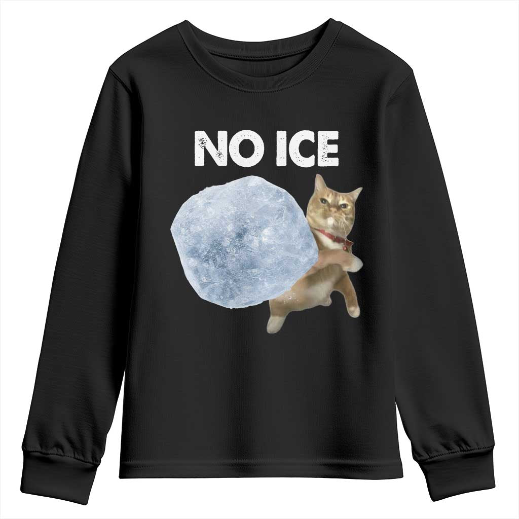 No Ice Youth Sweatshirt Funny Cat Meme Subtle FDT Political Satire