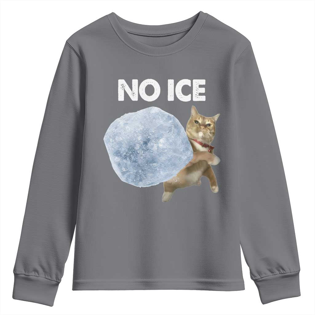 No Ice Youth Sweatshirt Funny Cat Meme Subtle FDT Political Satire