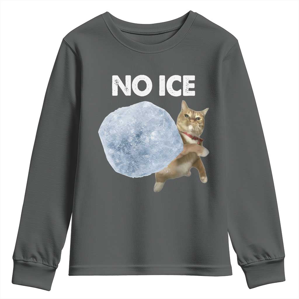 No Ice Youth Sweatshirt Funny Cat Meme Subtle FDT Political Satire