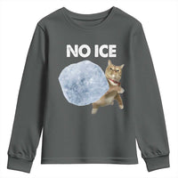 No Ice Youth Sweatshirt Funny Cat Meme Subtle FDT Political Satire