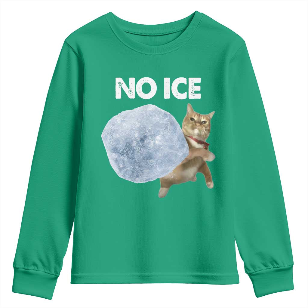 No Ice Youth Sweatshirt Funny Cat Meme Subtle FDT Political Satire
