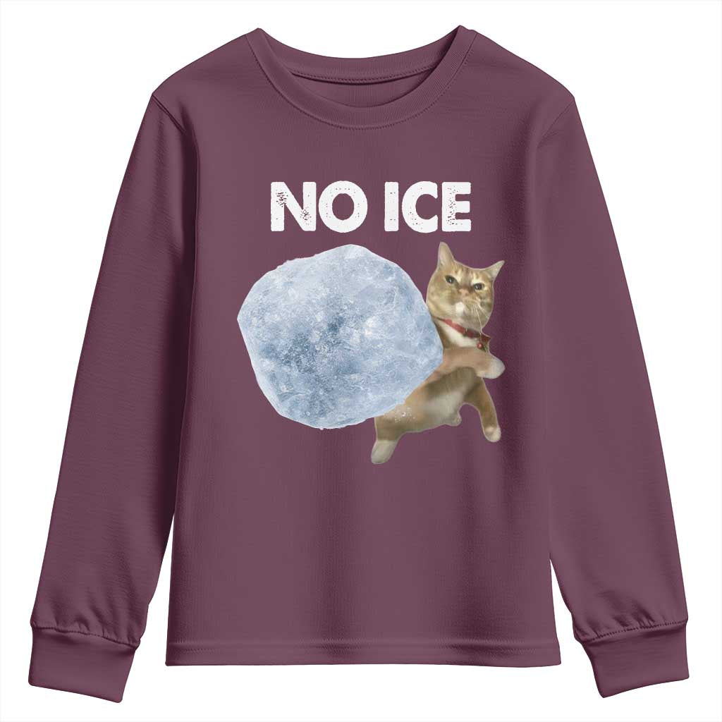 No Ice Youth Sweatshirt Funny Cat Meme Subtle FDT Political Satire