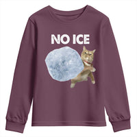 No Ice Youth Sweatshirt Funny Cat Meme Subtle FDT Political Satire