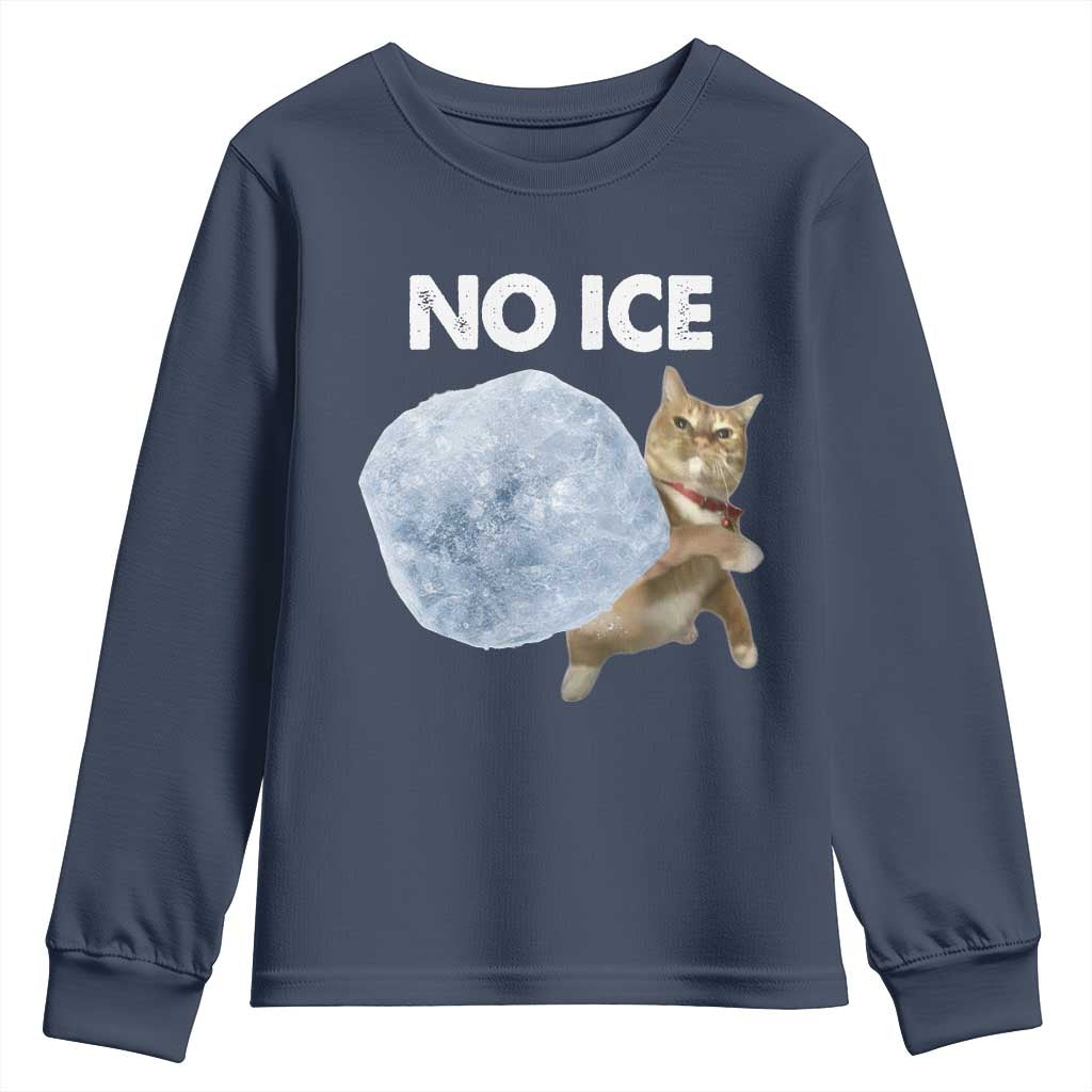 No Ice Youth Sweatshirt Funny Cat Meme Subtle FDT Political Satire