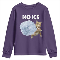 No Ice Youth Sweatshirt Funny Cat Meme Subtle FDT Political Satire