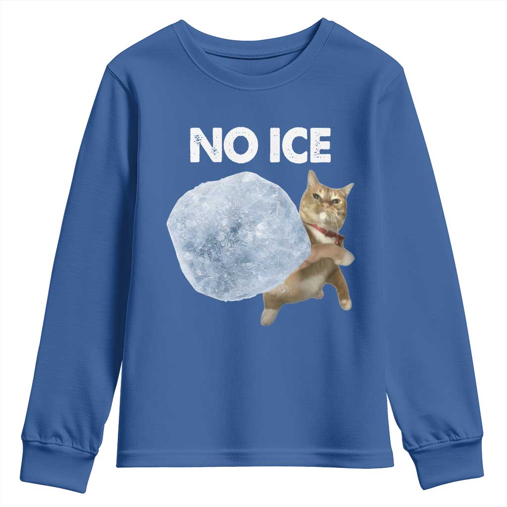 No Ice Youth Sweatshirt Funny Cat Meme Subtle FDT Political Satire