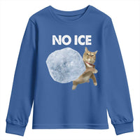 No Ice Youth Sweatshirt Funny Cat Meme Subtle FDT Political Satire