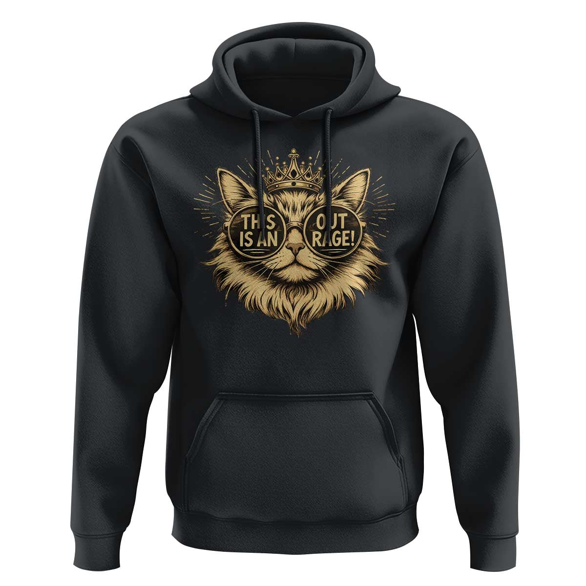 Funny Princess Cat Donut Hoodie This Is An Outrage Donut Gold Cat Lover Gifts