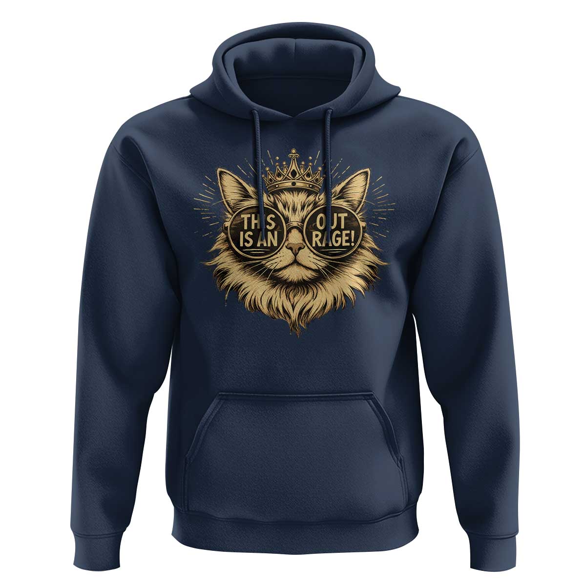 Funny Princess Cat Donut Hoodie This Is An Outrage Donut Gold Cat Lover Gifts