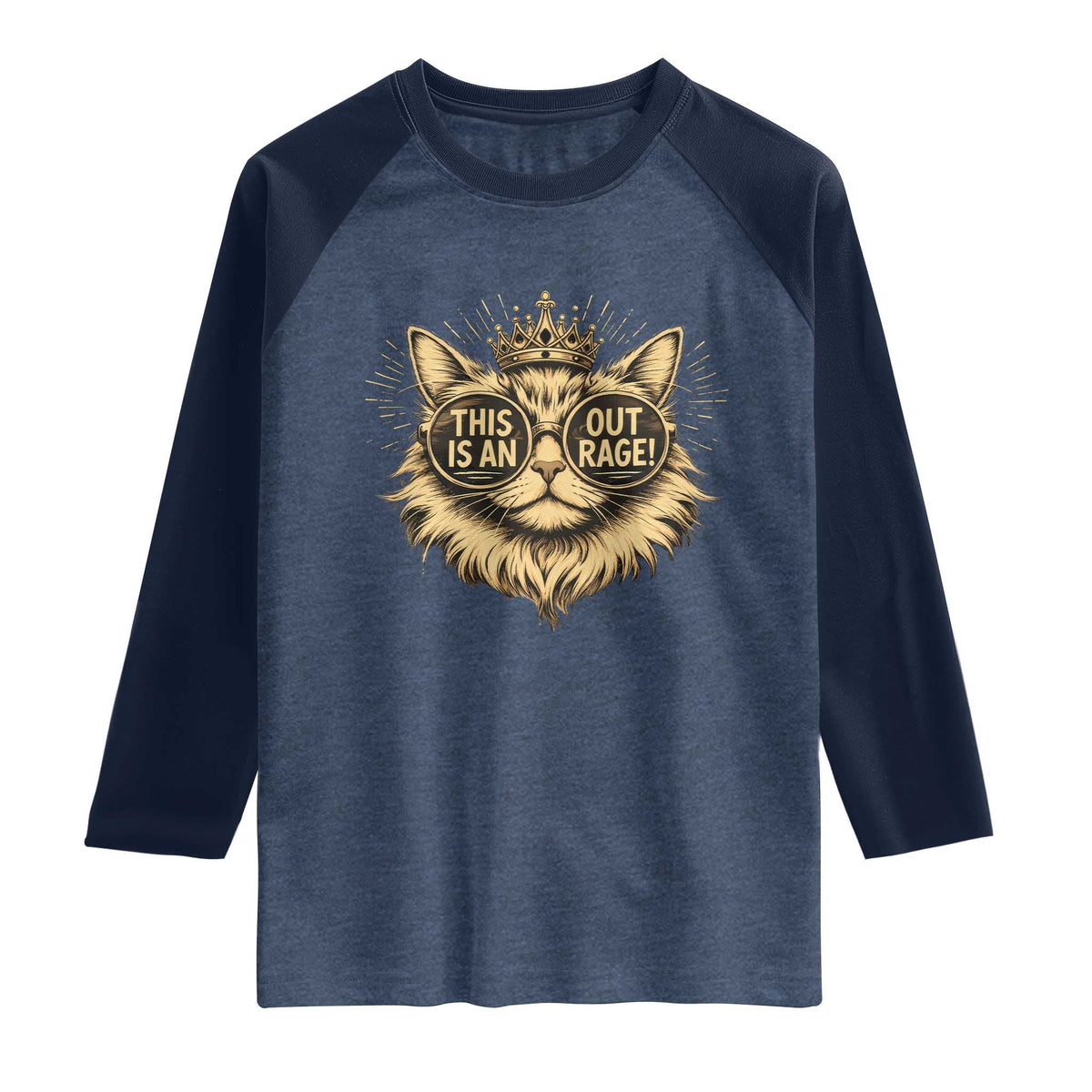 Funny Princess Cat Donut Raglan Shirt This Is An Outrage Donut Gold Cat Lover Gifts