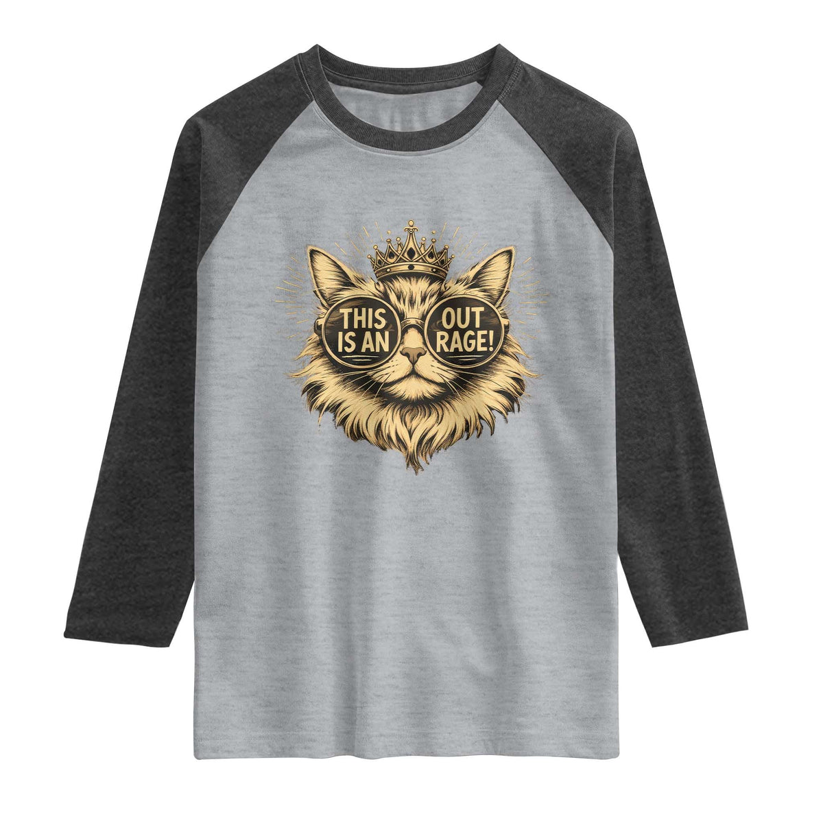 Funny Princess Cat Donut Raglan Shirt This Is An Outrage Donut Gold Cat Lover Gifts