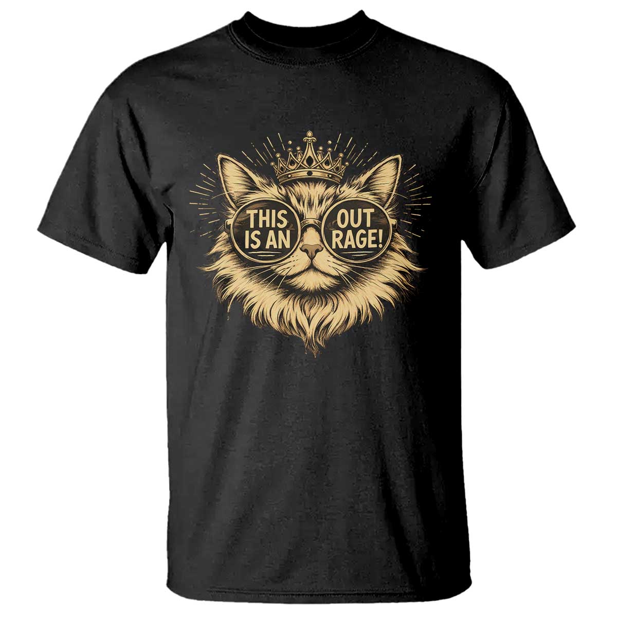 Funny Princess Cat Donut T Shirt This Is An Outrage Donut Gold Cat Lover Gifts