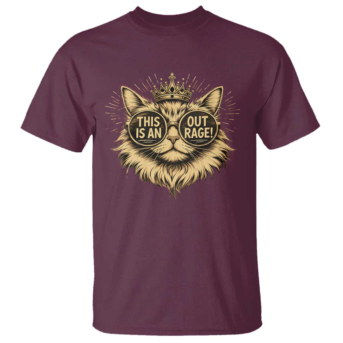 Funny Princess Cat Donut T Shirt This Is An Outrage Donut Gold Cat Lover Gifts