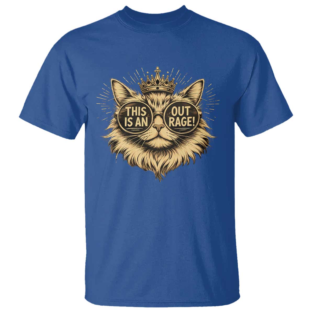 Funny Princess Cat Donut T Shirt This Is An Outrage Donut Gold Cat Lover Gifts