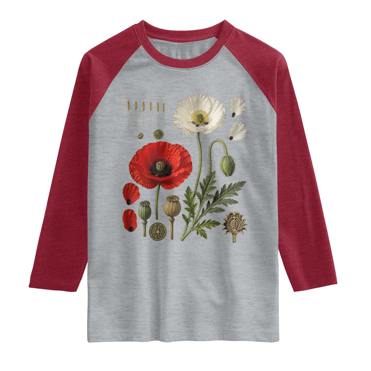 Summer Red Poppy Flower Botanical Poppies Vintage Print Memorial Day Floral Graphic Raglan Shirt