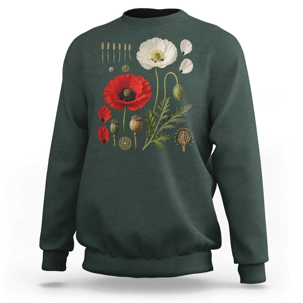 Summer Red Poppy Flower Botanical Poppies Vintage Print Memorial Day Floral Graphic Sweatshirt