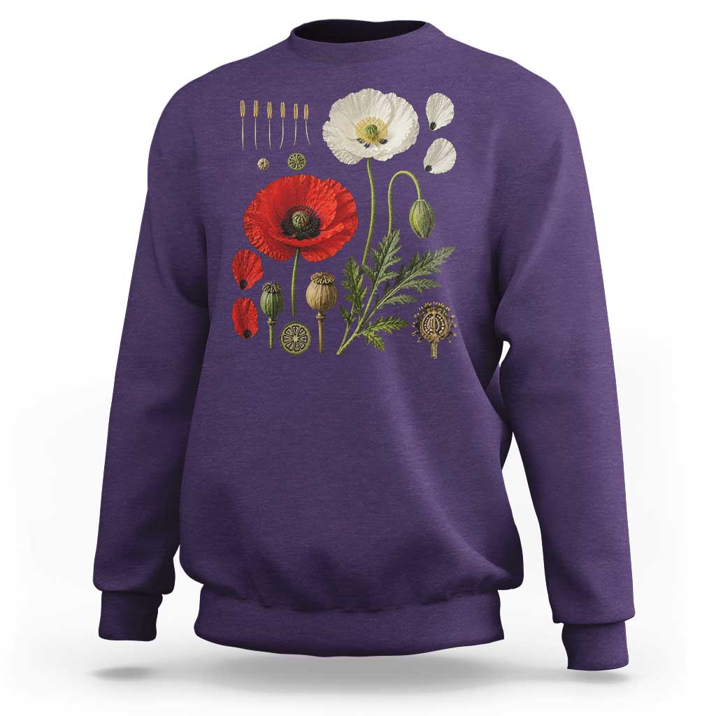 Summer Red Poppy Flower Botanical Poppies Vintage Print Memorial Day Floral Graphic Sweatshirt