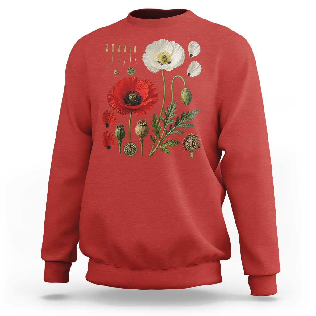 Summer Red Poppy Flower Botanical Poppies Vintage Print Memorial Day Floral Graphic Sweatshirt